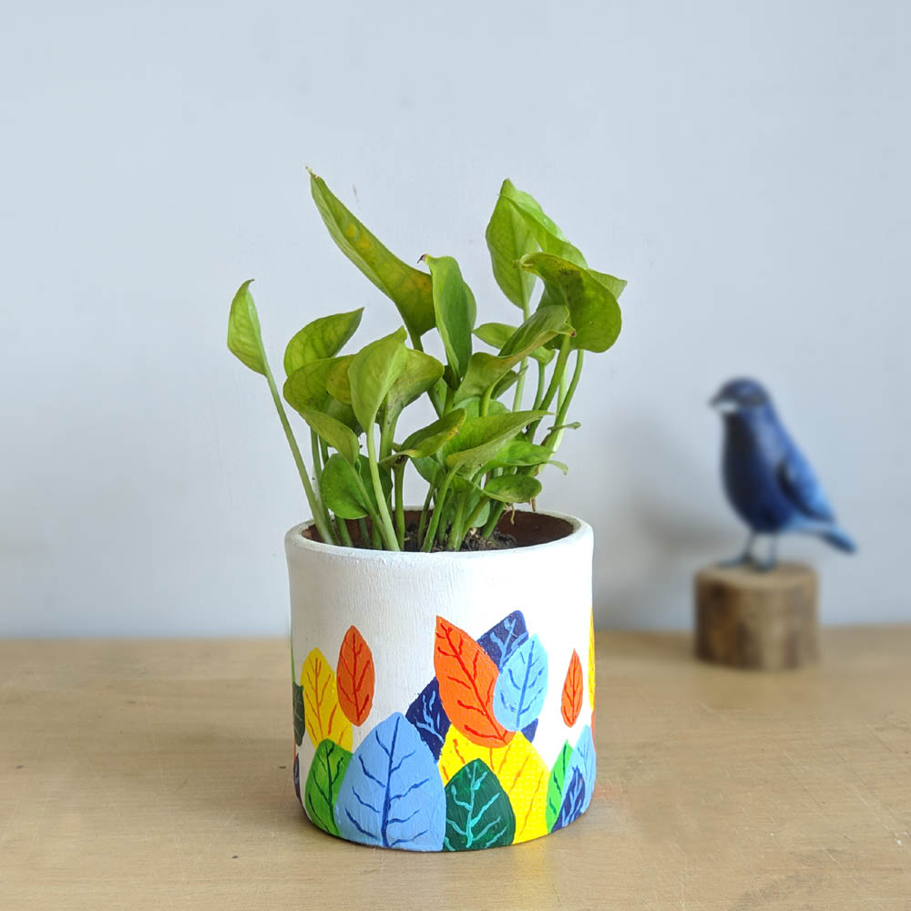 Green Money Plant With Decorative Pot - 